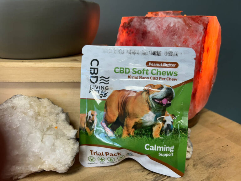 A bag of cbd soft chews for dogs sitting next to a rock.