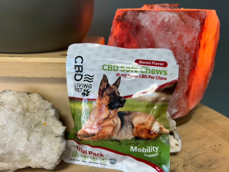 A bag of cbd soft chews for dogs next to some meat.